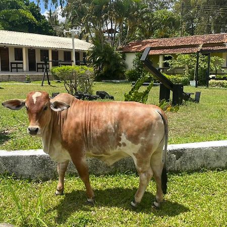 Hotel Fazenda Ceu Aberto Gravatá Exterior foto